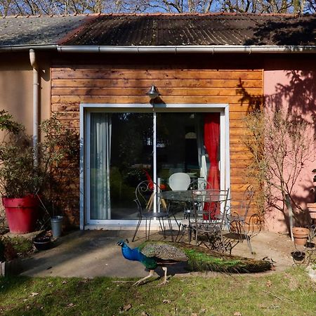 La Faisanderie Saint-Florent-sur-Cher ภายนอก รูปภาพ
